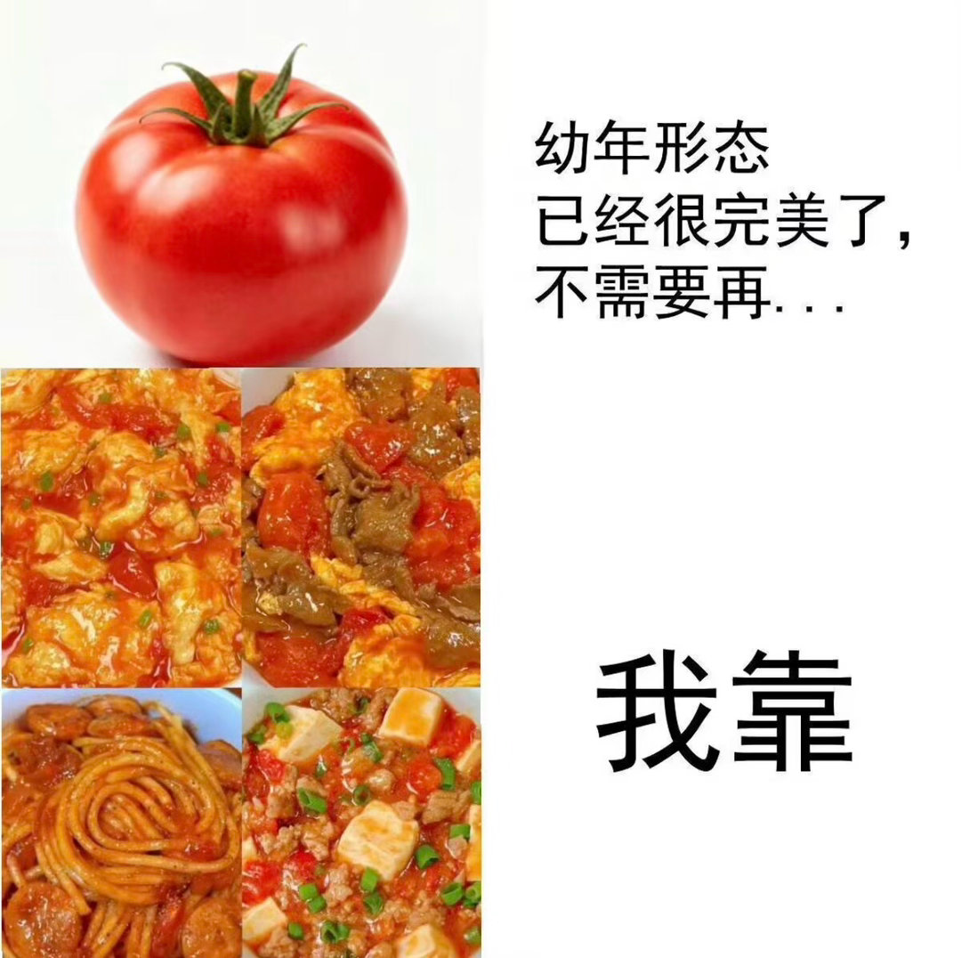 更完美了今日memesfunny memememe