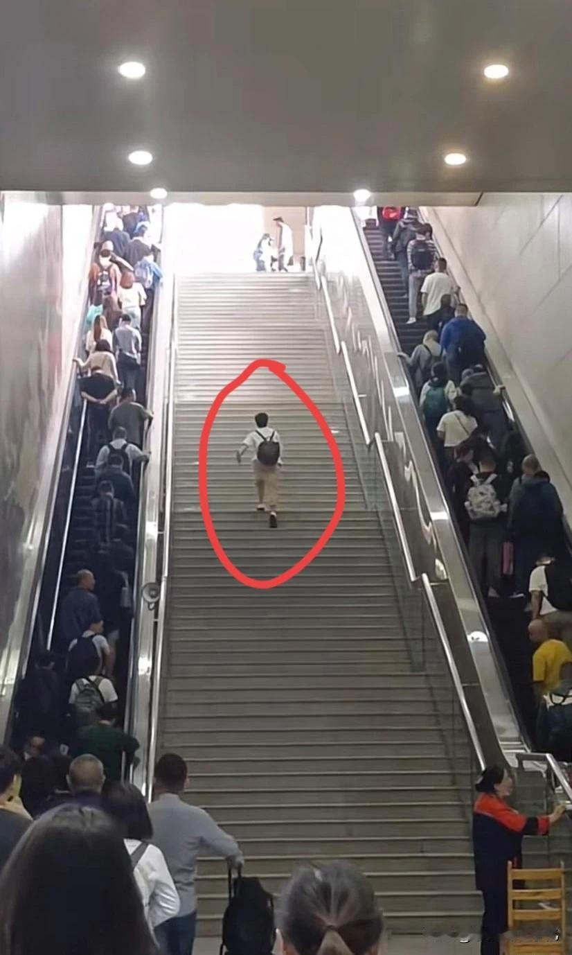 聪明吧，一点也不拥挤