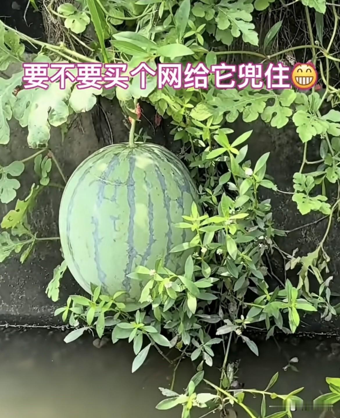 上联：岁月长河风风雨雨
  下联：人生大道坎坎坷坷