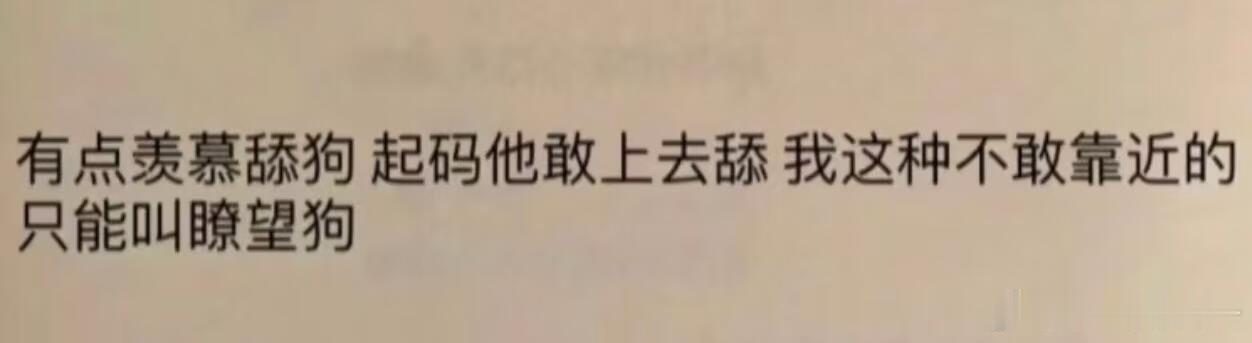《有点羡慕舔狗》 