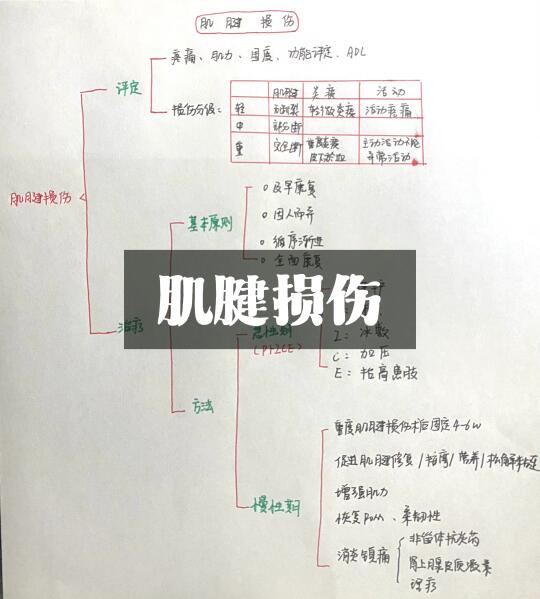 肌腱损伤的康复