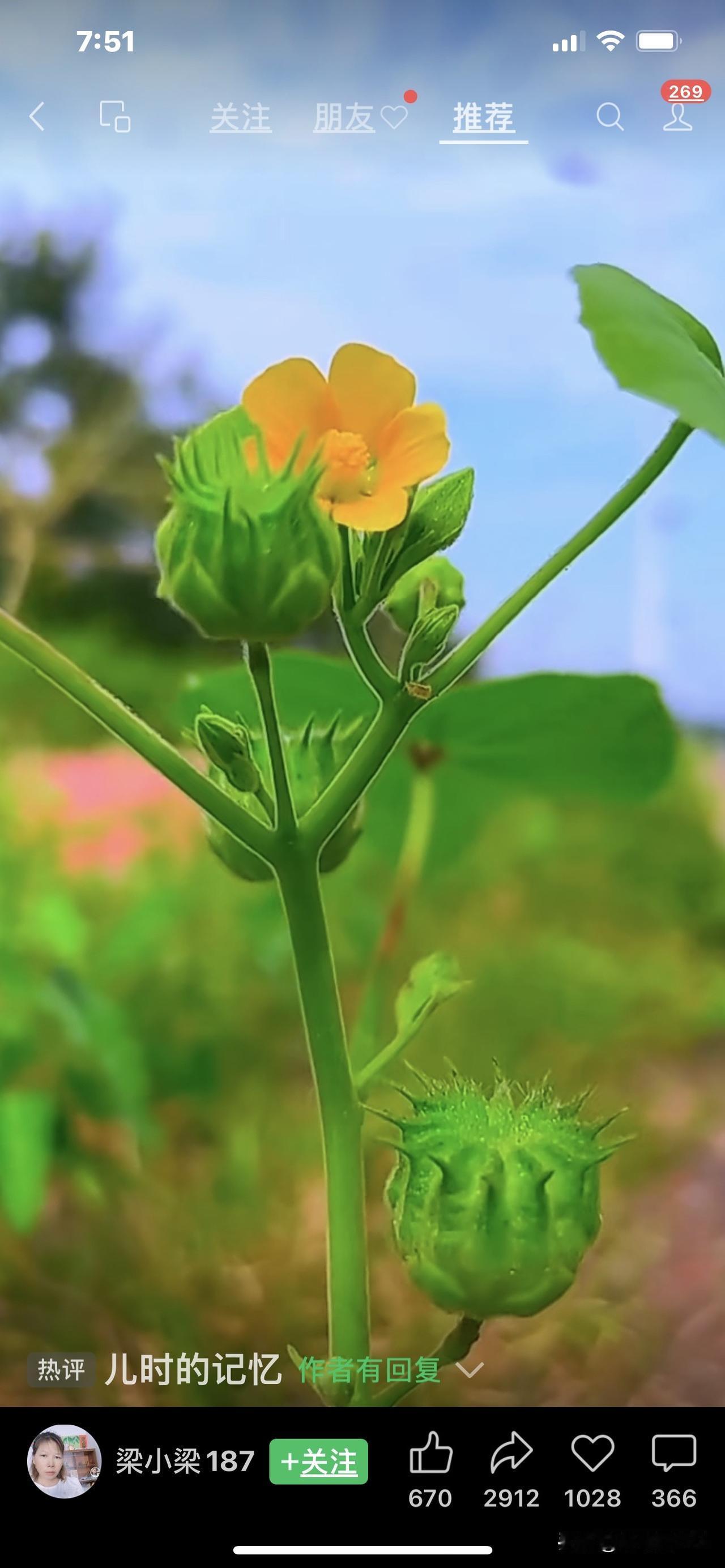 现在的物流……真快！
前天下午在山东采摘下来的第十茬樱桃，昨天中午就送到家了！