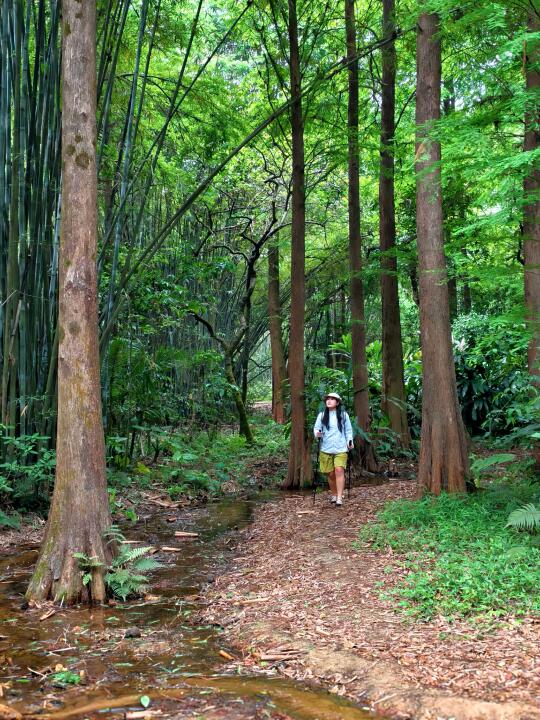 白云山🍀本地人才知道的溯溪徒步路线太绝了