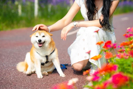 温汤！这座鲜花小镇的秘密藏不住啦~