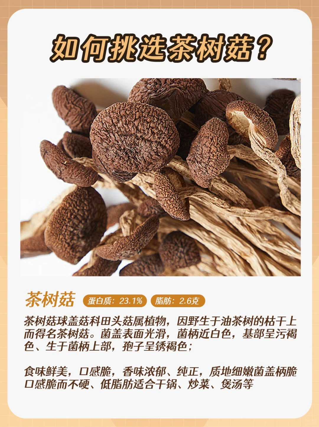 🔥煲汤必备食材🧄未开伞脆脆的超好吃✅