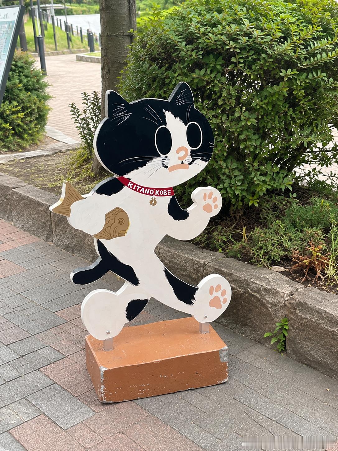 260 小猫引路牌，谁见谁喜欢！！！ 