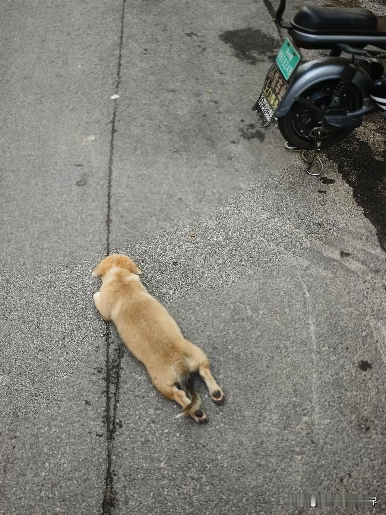 孩子，先忍忍吧！憋足一口气努力当上法官，到那时就能改变现状，拥有不一样的人生啦…