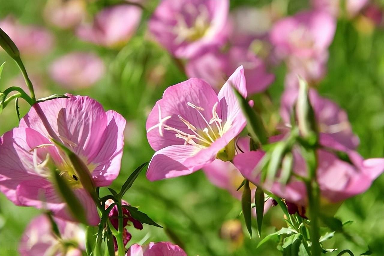 成年人的世界，连哭都要挑场合，你可以疼，但不能喊；可以累，但不能停，因为你知道，