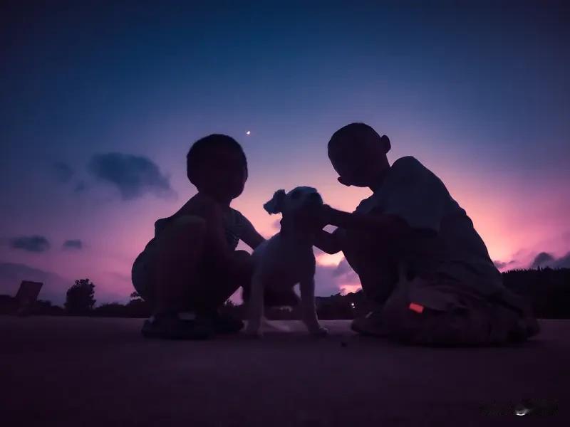 人到落魄时，感觉没朋友，其实是人际关系的真相被撕开了。很多所谓“朋友”，本就冲着