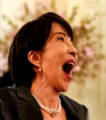 日本首相高市早苗这趟访美，出发前说得挺好，要去巩固关系，树立形象。
结果人刚到，