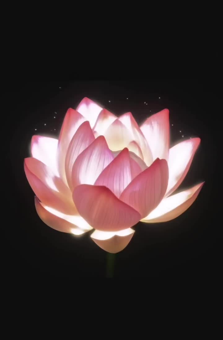 小小莲花精