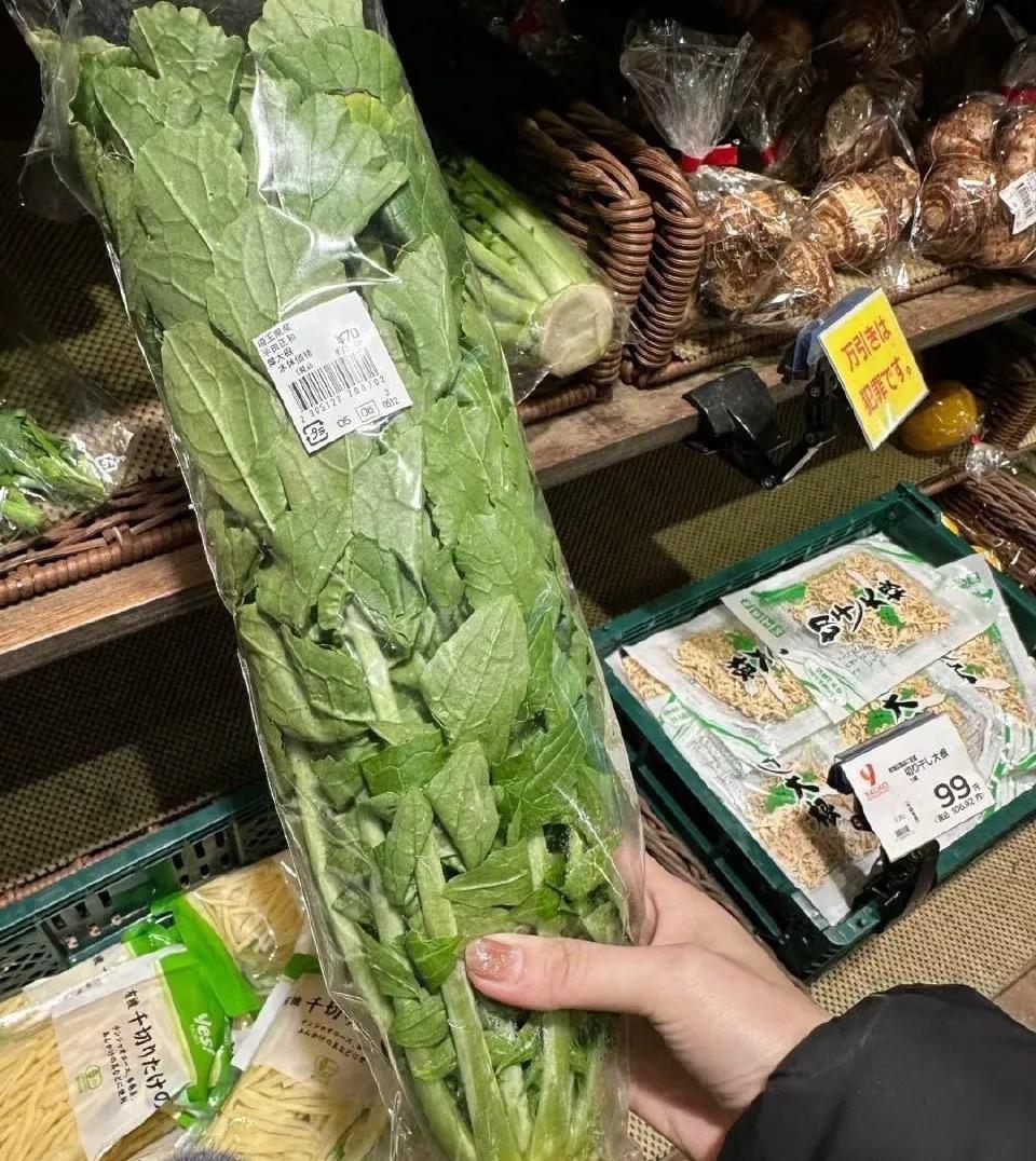 这萝卜叶怎么吃啊