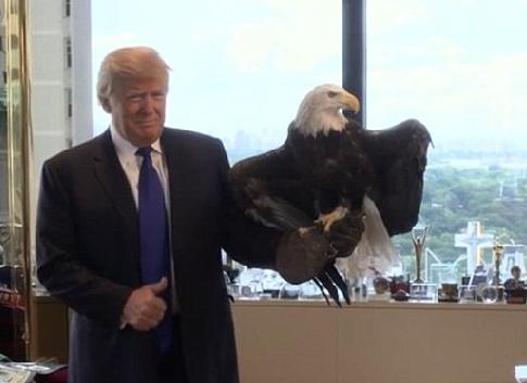 美国不是苏联！不要低估了美国开战的决心，现在它之所以没和中国开战，是因为还有资本