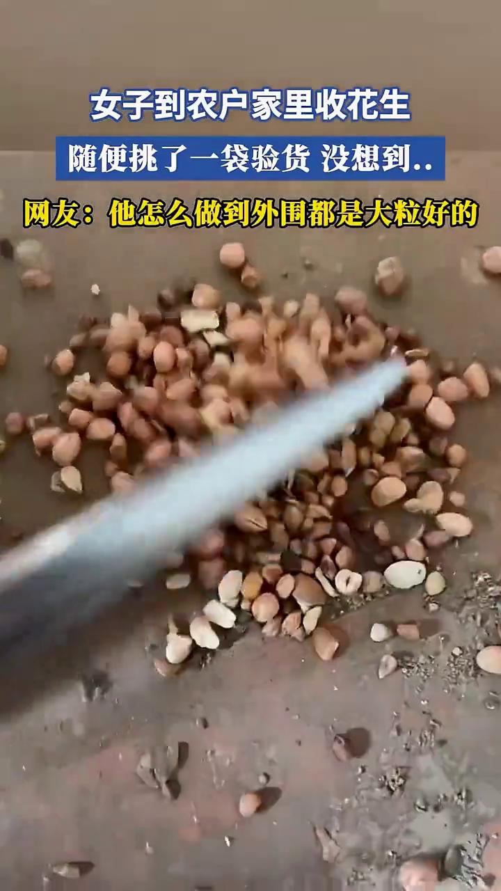 女子到农户家里收花生，随便挑了一袋验货，没想到...网友：他怎么做到外围都是大粒