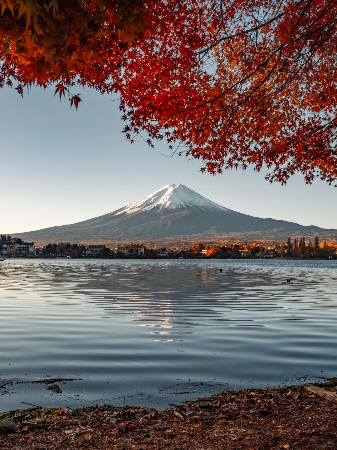 当我周末去了一趟富士山…（附详细攻略）