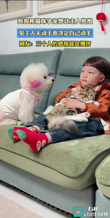 小动物都知道争风吃醋了。求宠不成，最后它竟然动粗了。
不知它知道不知道，强扭的瓜