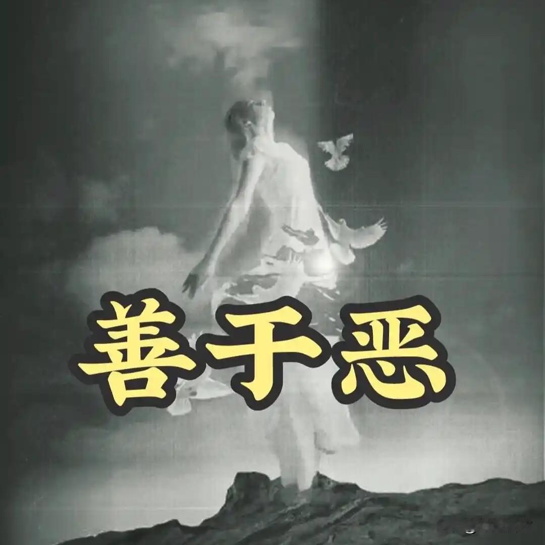 流浪猫狗：照见人性善恶的明镜
城市的喧嚣中，流浪猫狗如无根浮萍，在善与恶的夹缝里