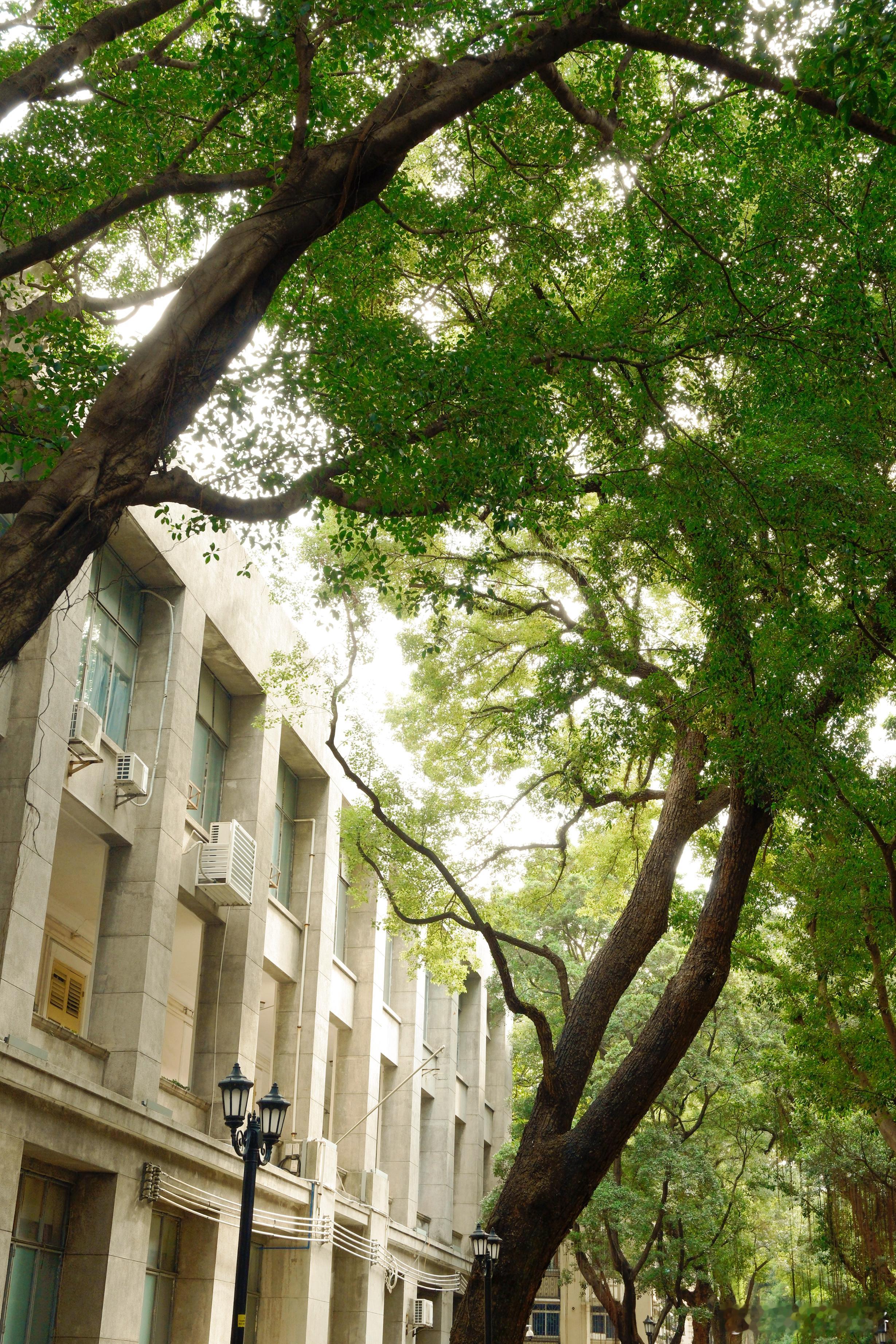 一些疯狂汲取养分的走走停停☀️ 