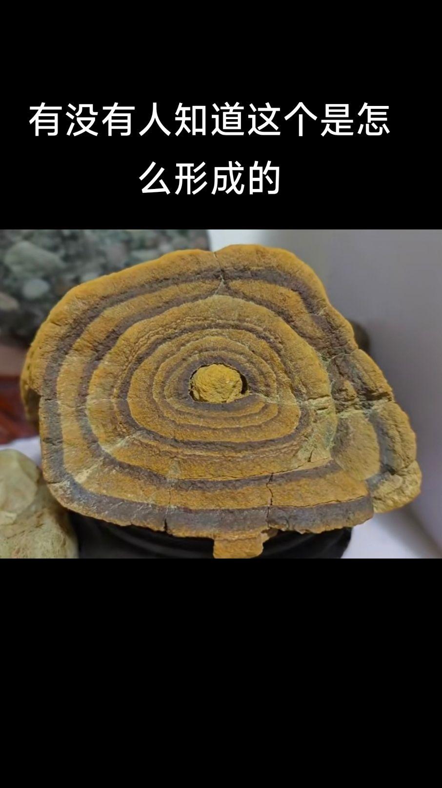 每一块石头都是独一无二的 天然奇石与艺术欣赏
