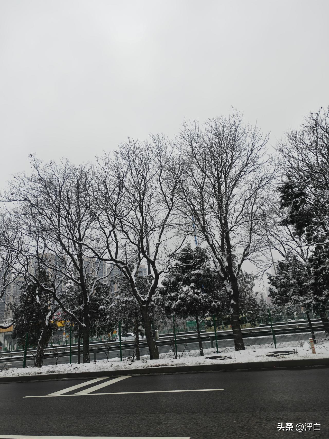 北京大雪，走在路上，一步一小心
突然觉得，这个世界不存在不会做的事情
当你失去了