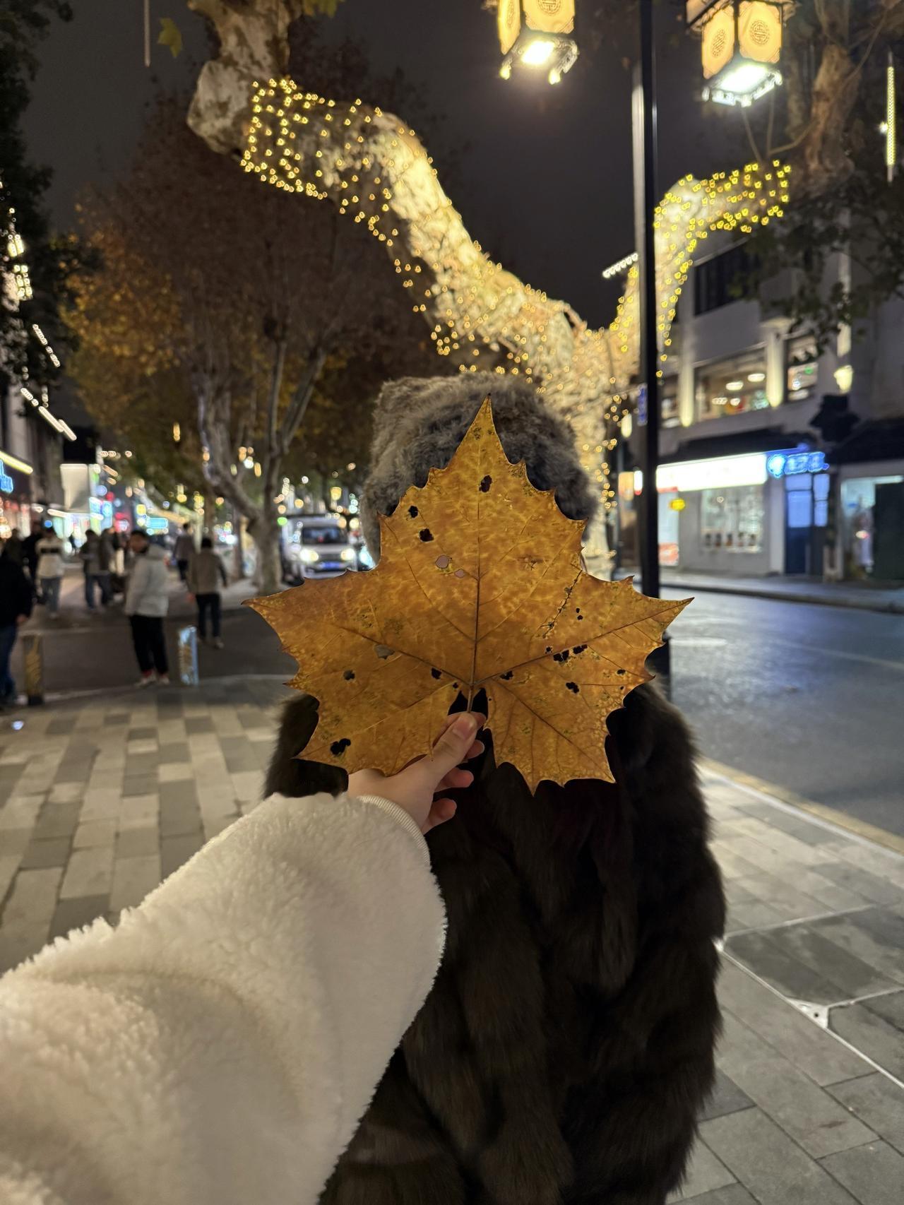 我从未对你说过我的窘迫，因为我知道你接不住完整的我。