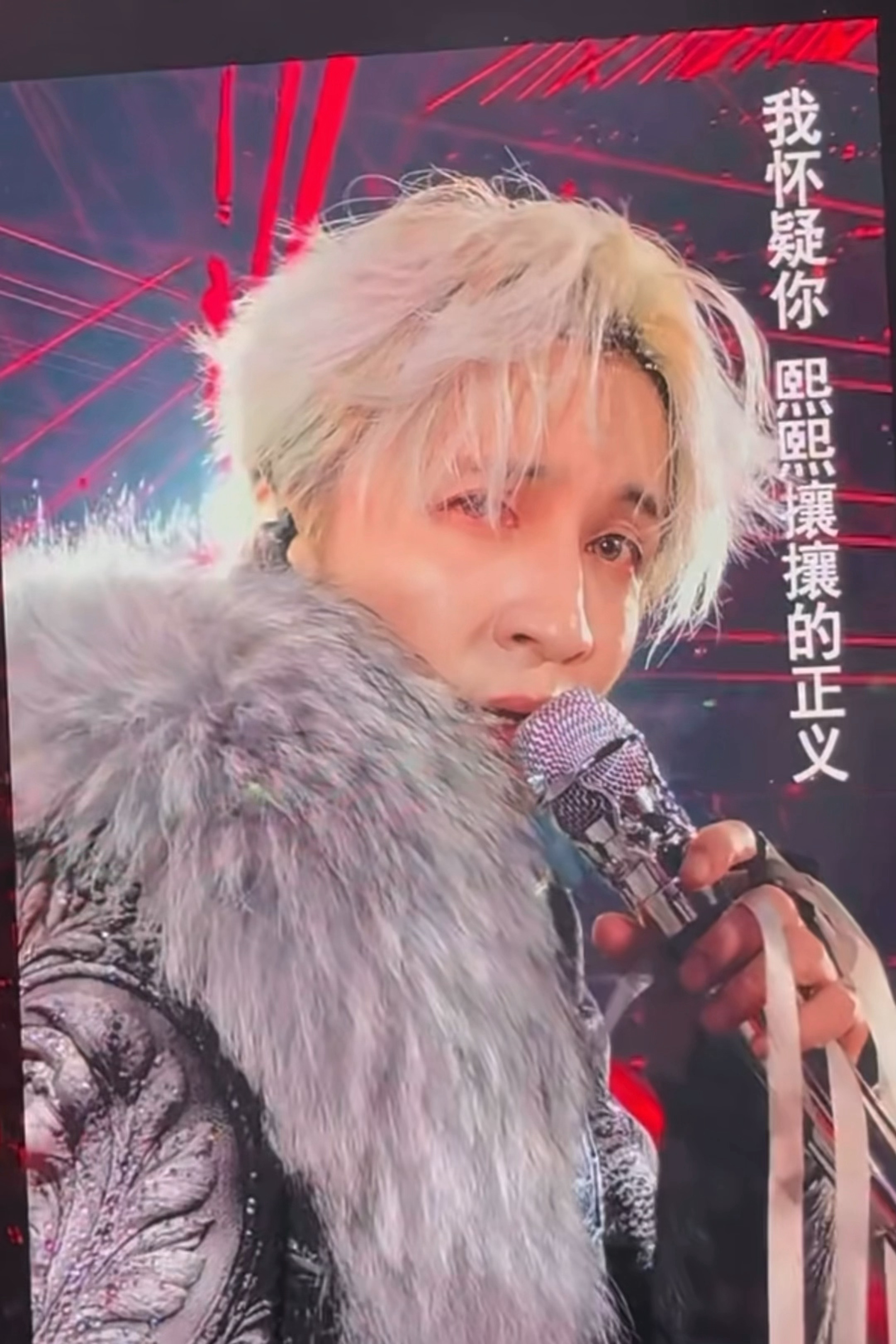 小狐狸wink 