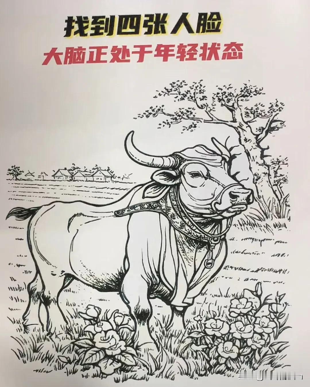 找到三张人脸了，一共有四张，剩下一张找不到，放大都没看到，难度很大啊，你看到了吗