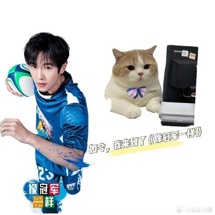 #重生之李汶翰在娱乐圈当运动员# #像冠军一样#从小学游泳池到娱乐圈舞台，他的光