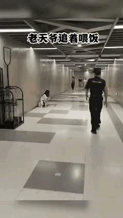 这姑娘太可怜了 一个上午己经被餵了快30个馒头！边这些男生怎么这么不解风情 明明