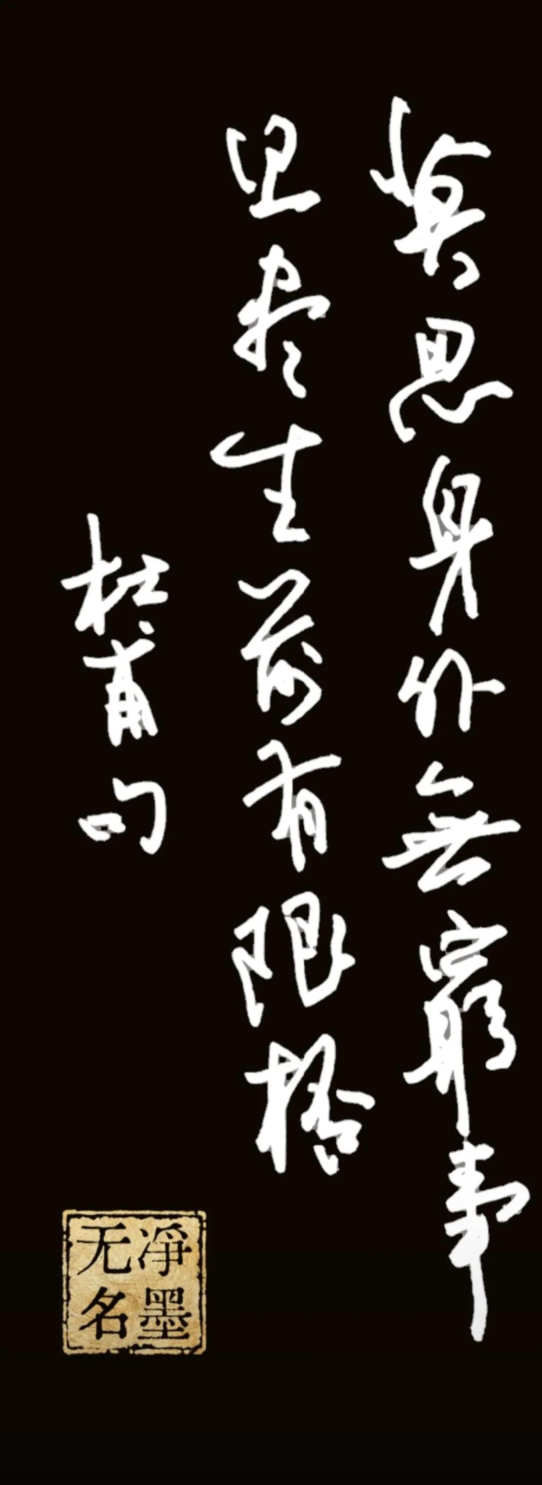 释文 杜甫句
莫思身外无穷事，且尽生前有限杯。
简评
白底手写原稿：笔墨自然质朴