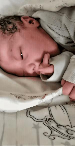 汪小菲的第三胎出生后就有各种传言，说什么这孩子早就出生了根本不是大年初七生日，对