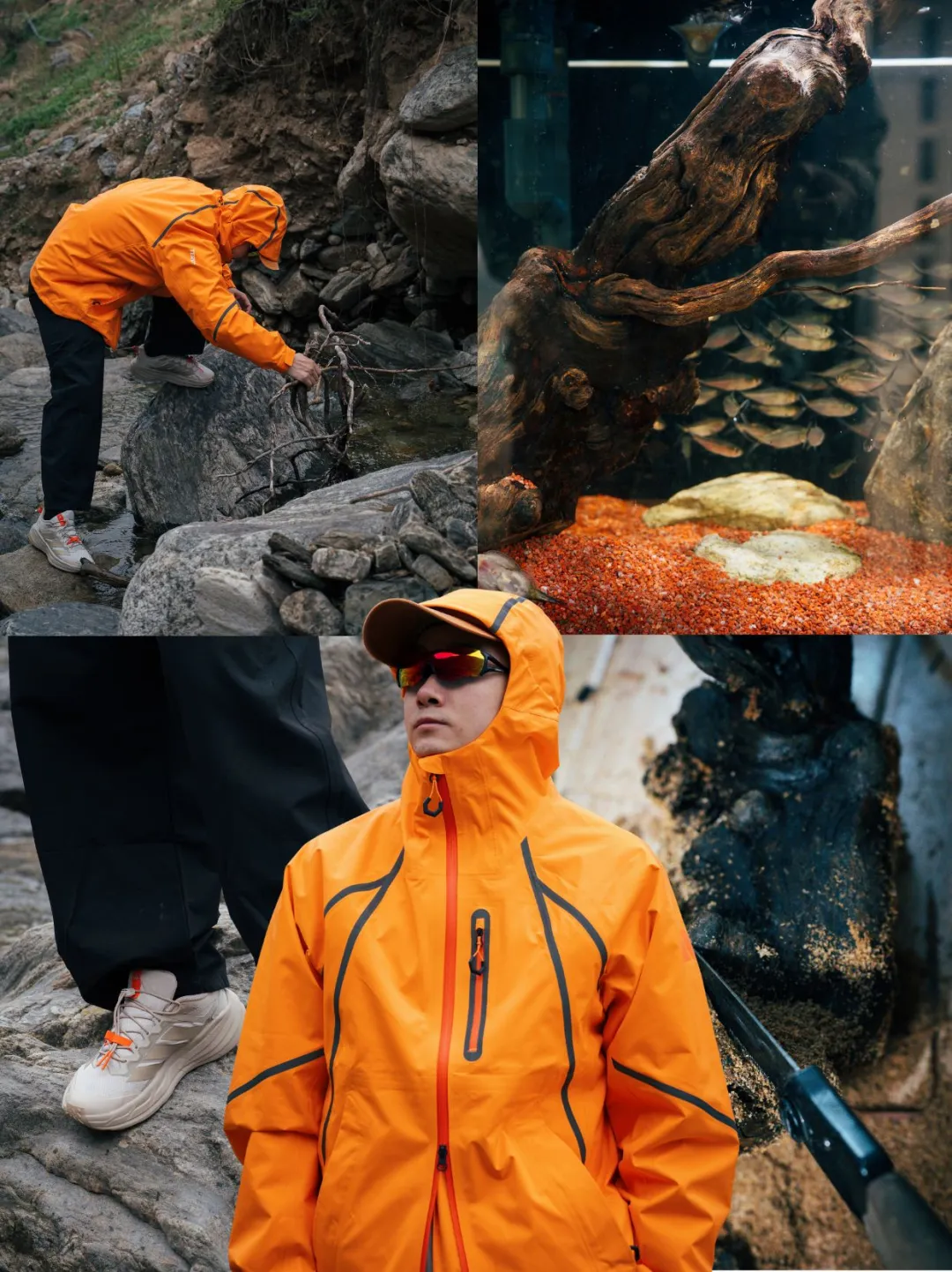 只是去徒了个步，却捡到鱼缸里的天选之木