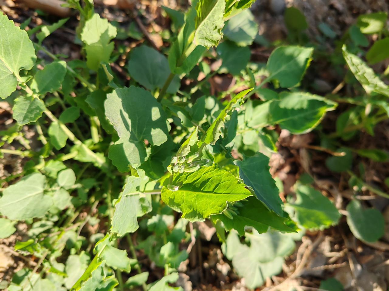 春日生活打卡季春天在哪里？春天在我们的心情里。