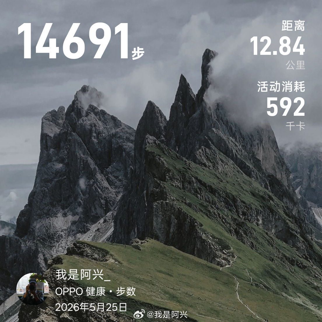 今天吃完饭走了 14000 步，然后外面转了一圈，也没看 OPPO Reno 1