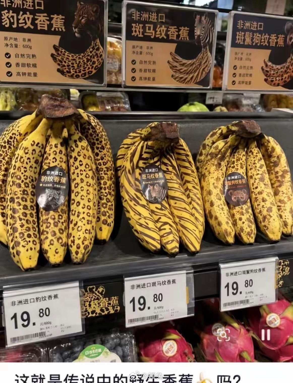真是大开眼界了 