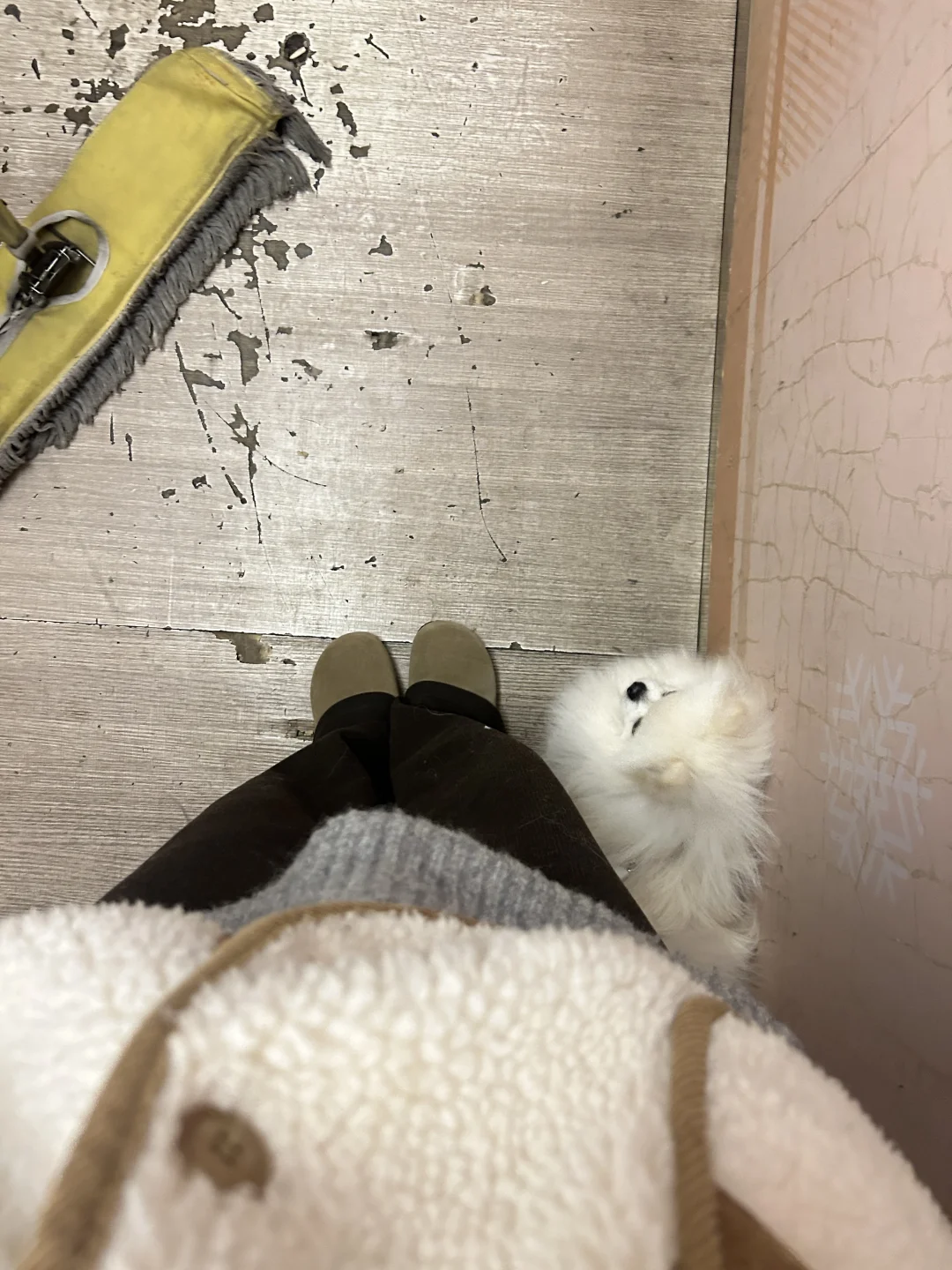 麻麻、、救、我