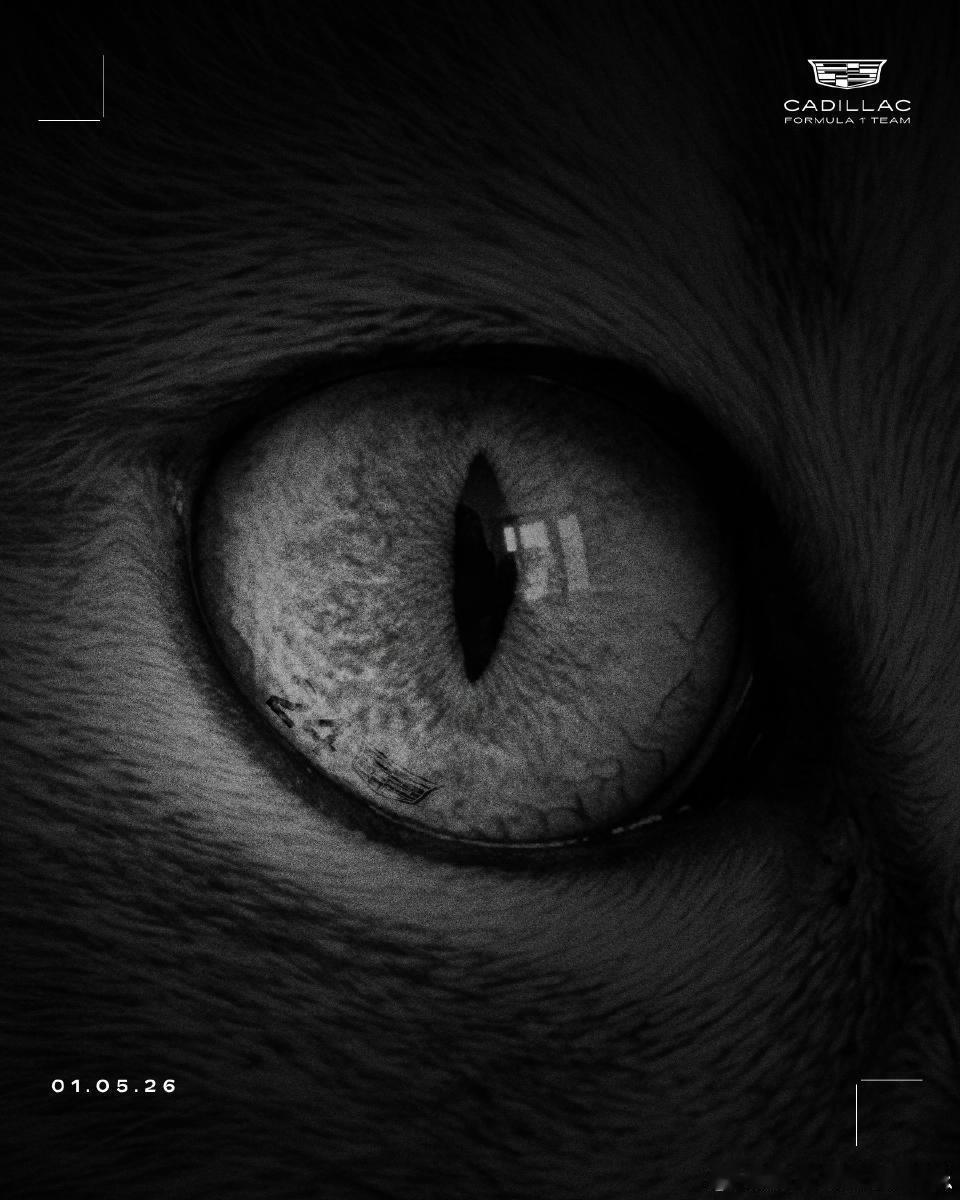 凯迪拉克F1车队官微发了一张图猫猫的眼睛＋24号1月5号官宣谁不用我多说了吧凯迪