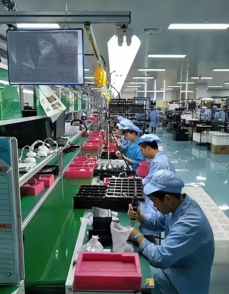 家族里几个兄弟都劝堂弟进厂打工，因为只有进厂才有机会找到女朋友，娶上媳妇！堂弟进