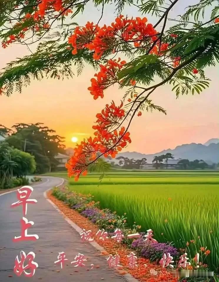 清晨问候，愿你平安无忧。