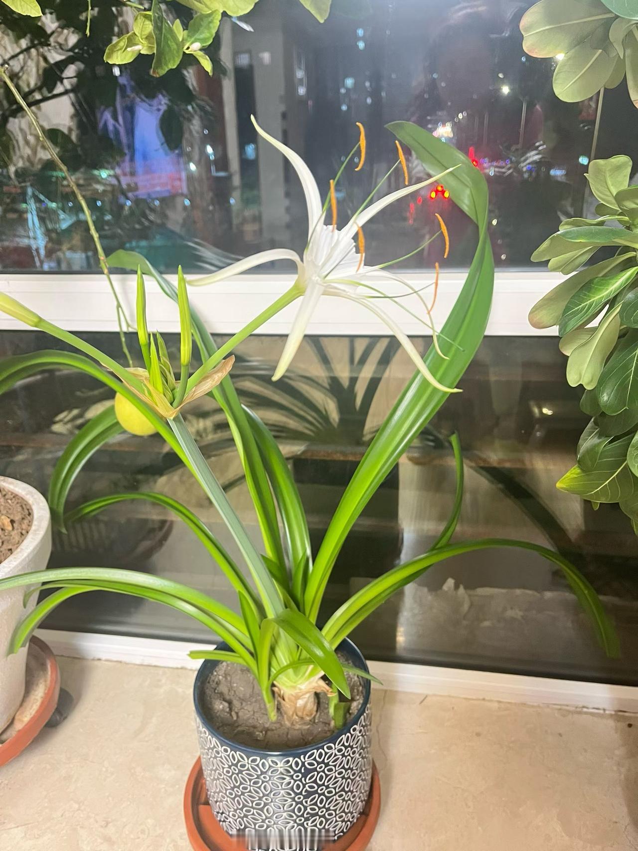 说实话
生活是一场修行
越是简单
越能感受到它的厚重。
太过执着于得失
往往会