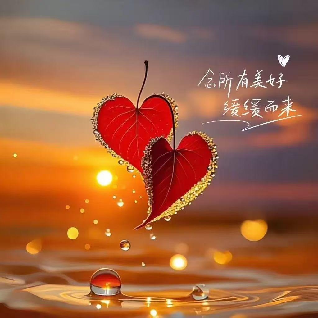 上海目前一点都不冷🥶
不信给你们看看现在的温度～[呲牙]

不过有些行业从业人