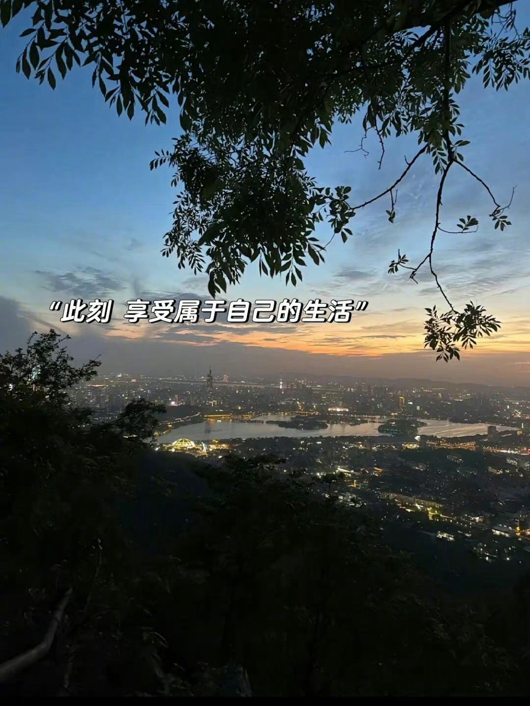 “把节奏放慢 生活是 爱也是” ​​​