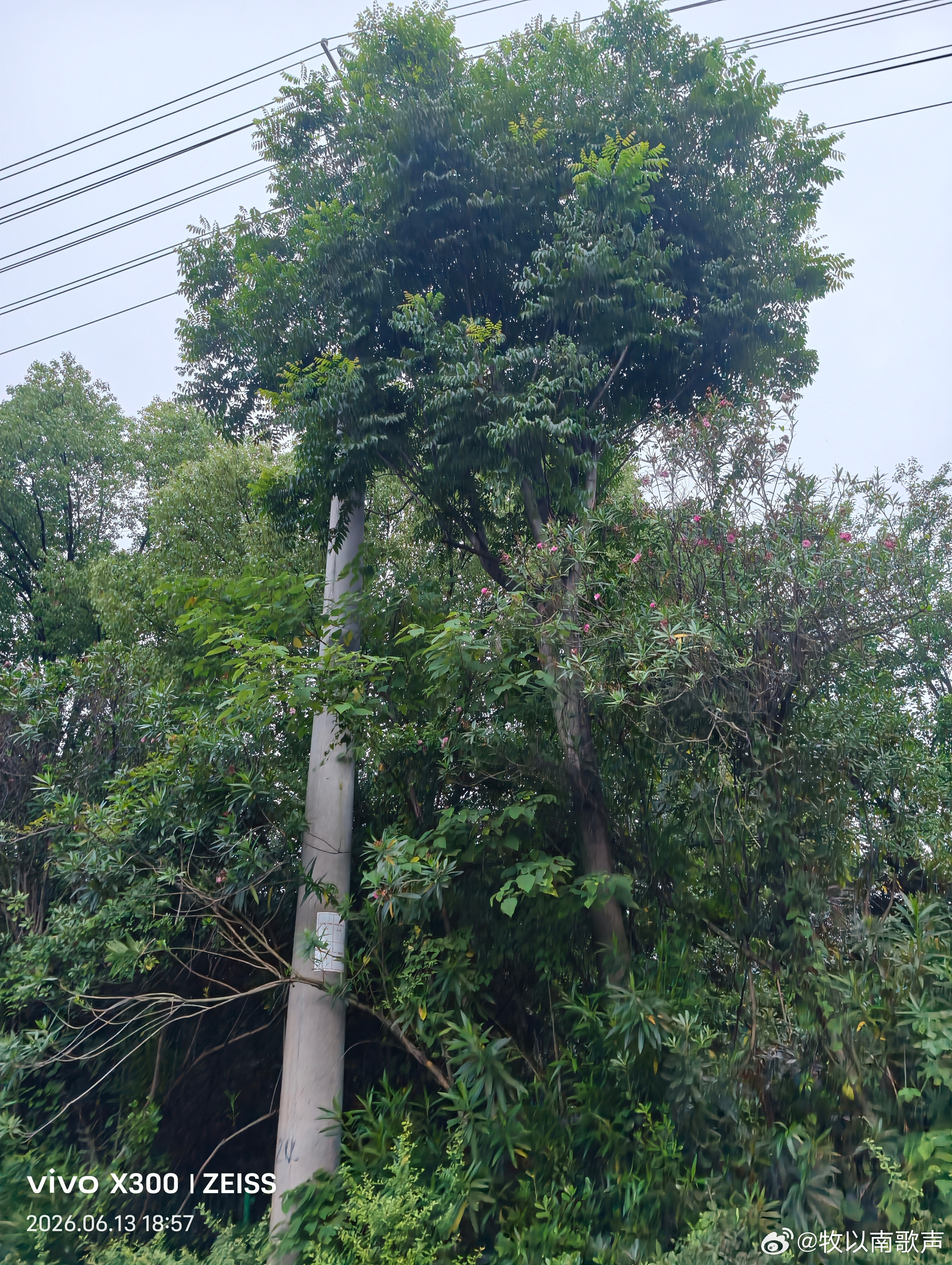  前路纵有风雨，也别停下脚步。每一次坚持都在蓄力，慢慢来，努力终会兑现所有期待。