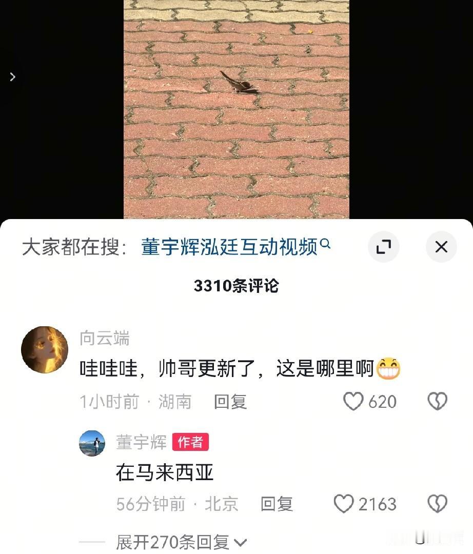 董宇辉发了一只蝴蝶，也是变相的报平安。已经到了马来西亚。当然今天是520，还是躲