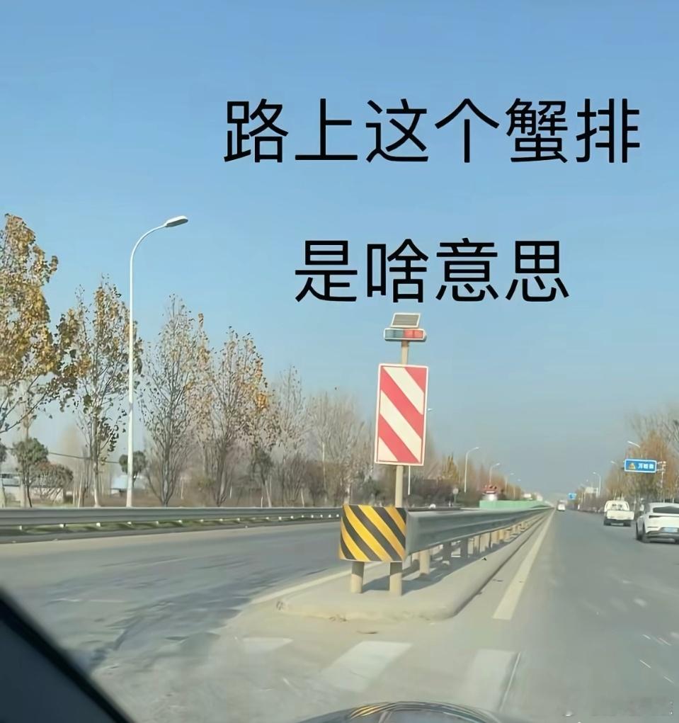 路上这个蟹排是啥意思 