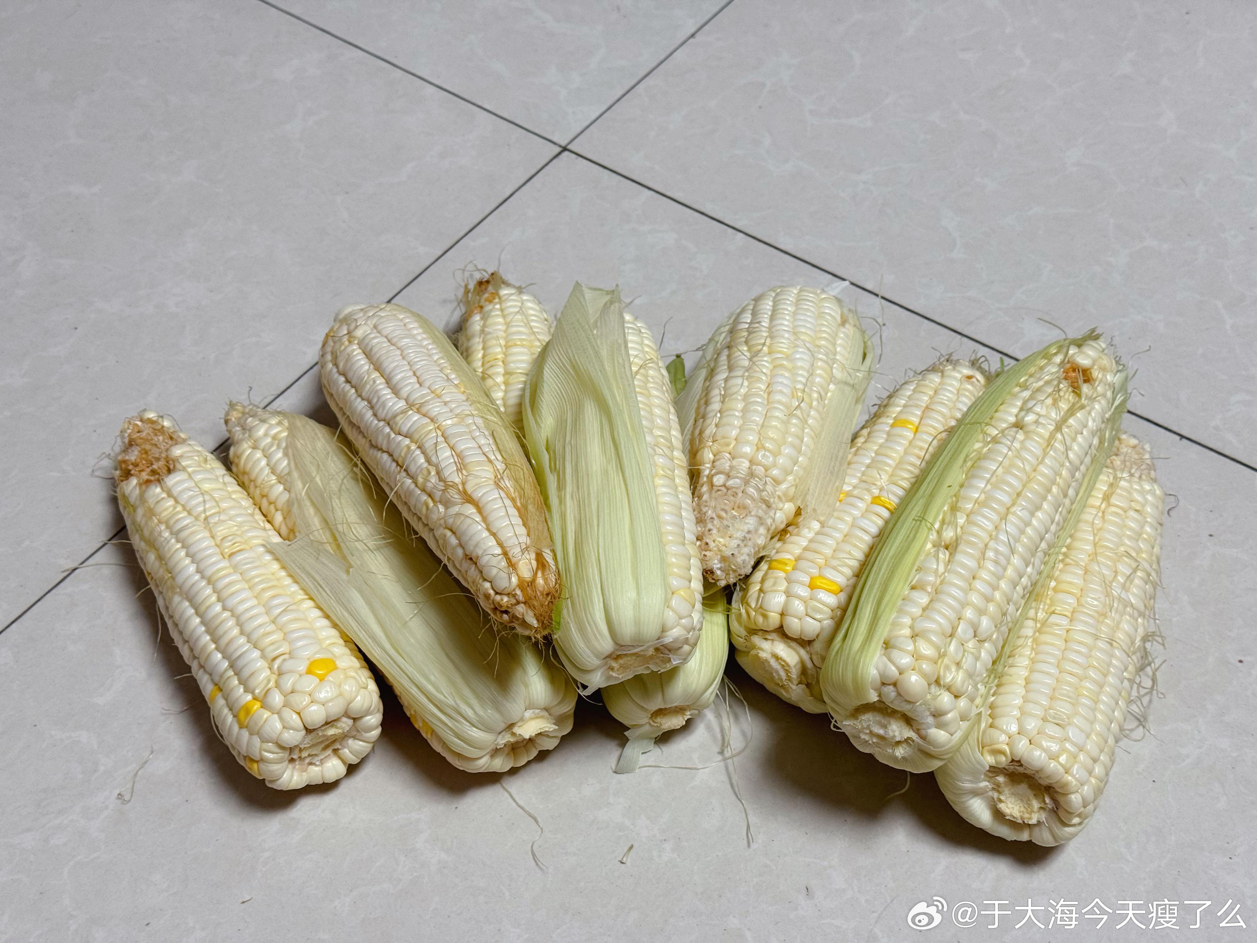 邻居姐姐送来了玉米🌽又被爱心投喂了 她爸爸自己种的 今天的晚饭又免了 吃个玉米