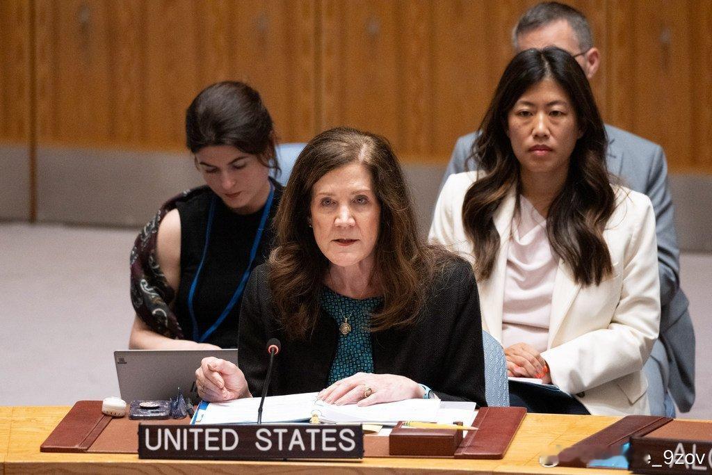美国常驻联合国代理代表: 为了保卫盟友、保护我们的公民和国家利益，美国采取了果断