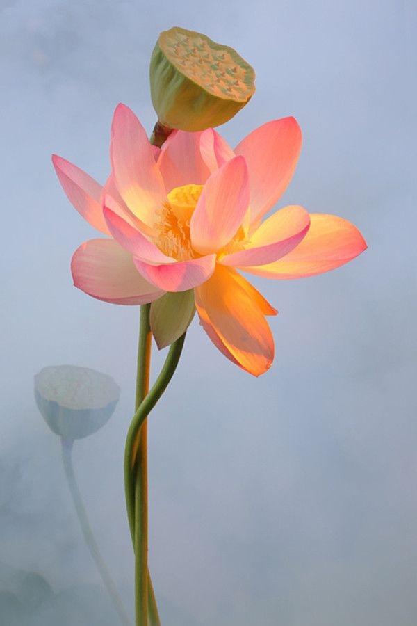 周四盘后再度传来新消息，周五需留意板块轮动节奏！
周四盘后新消息如下：
其一，据