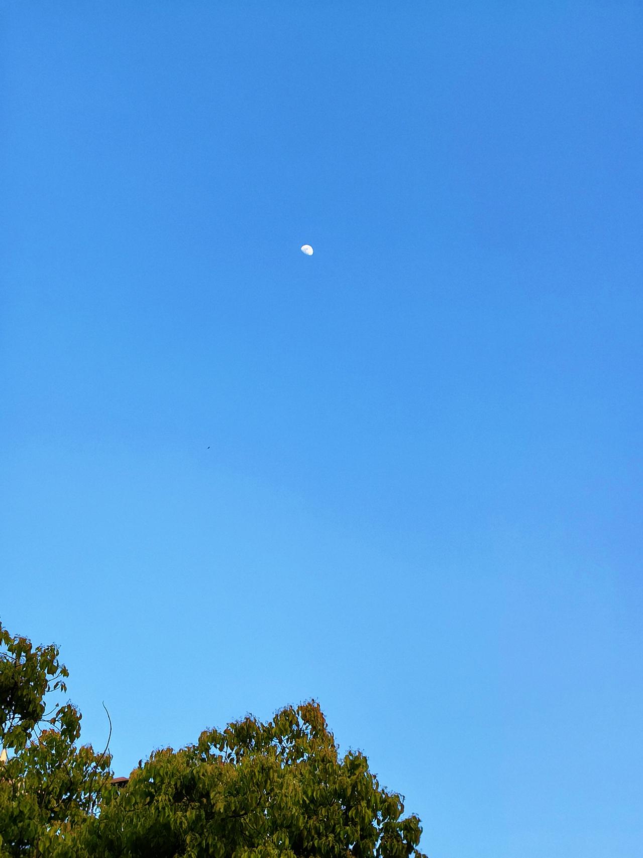 走在晚风里～

琪同学一句:“若是月亮还没来。”
我憋住笑:“我用巴掌打小孩。”