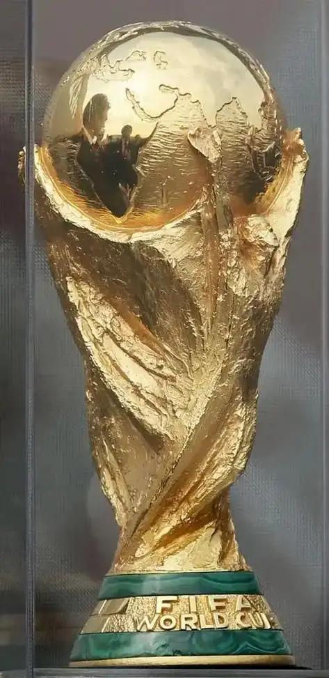 世界杯冠军拼了命，最后抱回家的却是“高仿”。
世界杯最扎心的真相是什么？

不是